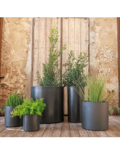 Vaso HORTENSIA  New Garden