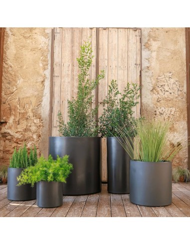 Vaso HORTENSIA  New Garden