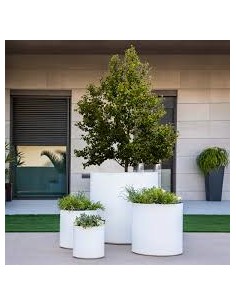 Vaso HORTENSIA  New Garden 2
