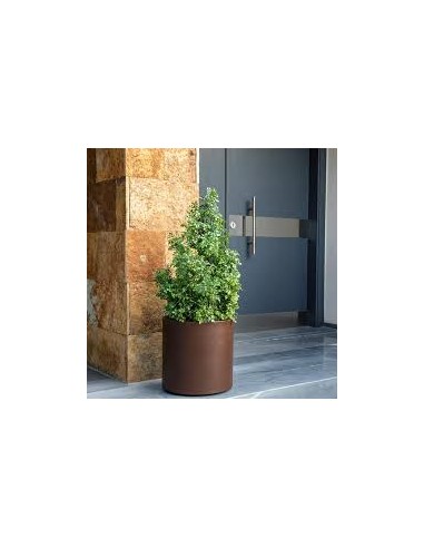 Vaso HORTENSIA  New Garden