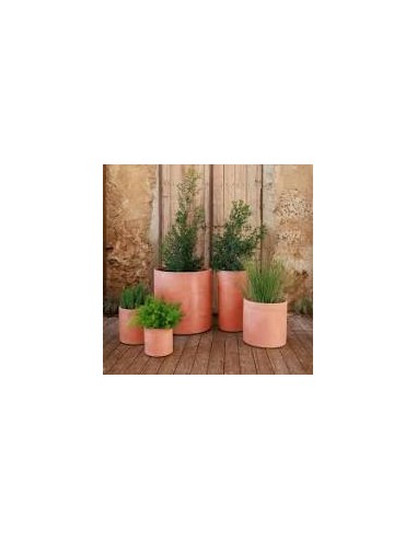 Vaso HORTENSIA  New Garden