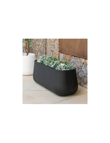 Vaso Camelia Large Newgarden