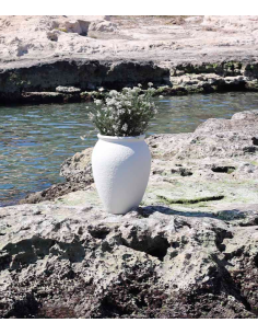 Vaso opaco BEGONIA... 2