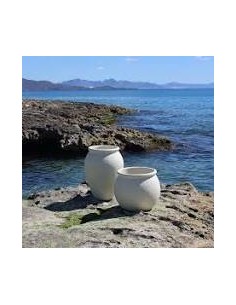 Vaso opaco BEGONIA... 2
