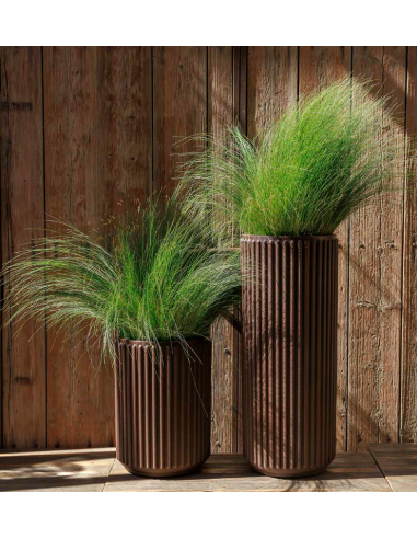 Vaso opaco Maranta NewGarden...