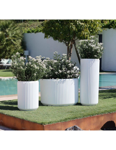 Vaso opaco Maranta NewGarden...