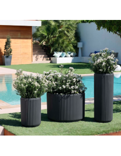 Vaso opaco Maranta... 2