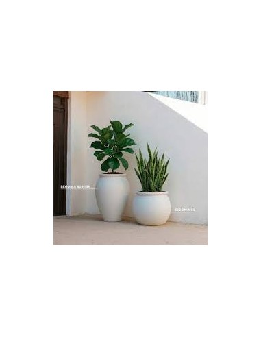 Vaso opaco BEGONIA NewGarden...
