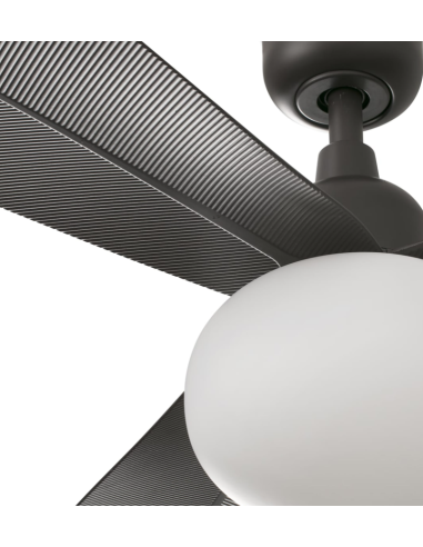 Ventoinha Palma IP44 da Faro