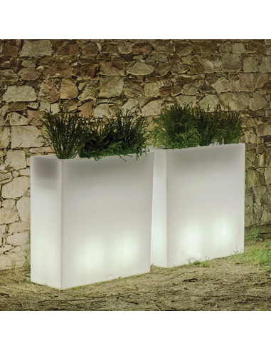 Vaso luminoso JUNCO New Garden