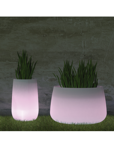 Vaso redondo com luz CAMELIA High...