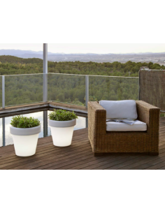 Vaso Luminoso MAGNOLIA New...