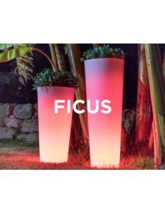 Vaso iluminado recarregável... 2