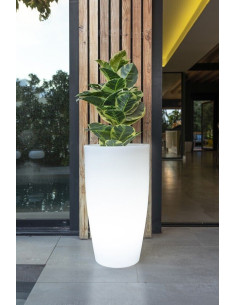 Vaso Luminoso BAMBU New Garden