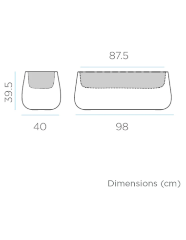 Vaso Camelia large iluminado