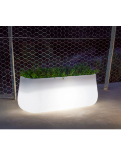 Vaso Camelia large iluminado