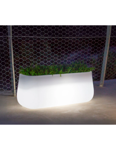 Vaso Camelia large iluminado