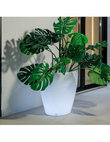 Vaso violeta com luz