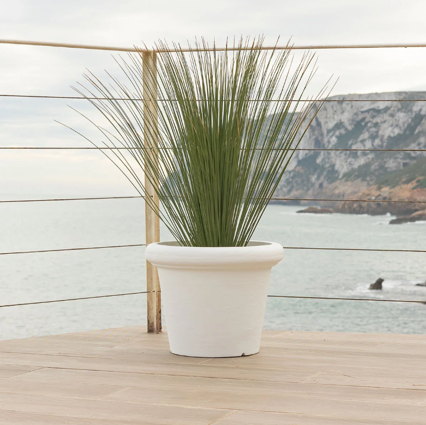 Vaso Narciso 