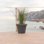 sdregf