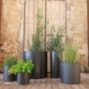 vaso-hortensia-new-garden