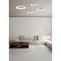 grace-b-00-amb