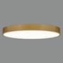 3453-100-plaf-oro