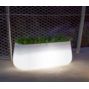 vaso-camelia-large-iluminado